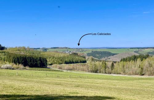 Gros-Fays Apartment | Les Caliciades 3 à Gros-Fays
