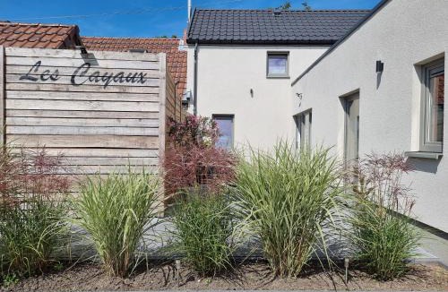 Brugelette House | Les Cayaux