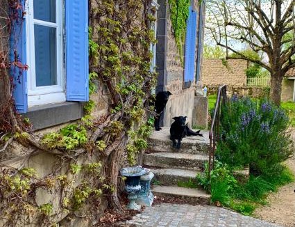 Saint-Didier-sur-Rochefort Bed & Breakfast | Les Chambres de la Closerie