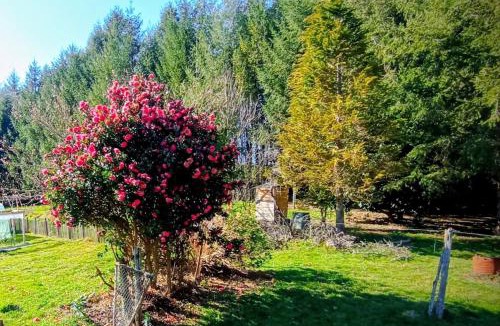 Compreignac House | Les Collines de Compreignac