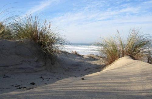 Biscarrosse Plage House | Les Cottages - Maison 4 à 5 personnes au bord de l'océan