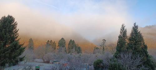 Revin Bed & Breakfast | Les Ecureuils