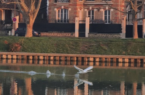 Thorigny-sur-Marne Villa | Les Flolies on the banks of the Marne: Character villa - Disney - Paris