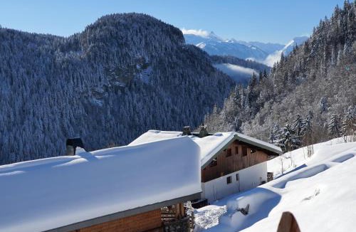 Les Gets Ski Chalet | Les Gets