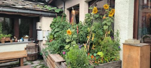 Bramans Hostel | Les Glaciers
