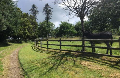 Buais-les-Monts House | Les Petits Champs
