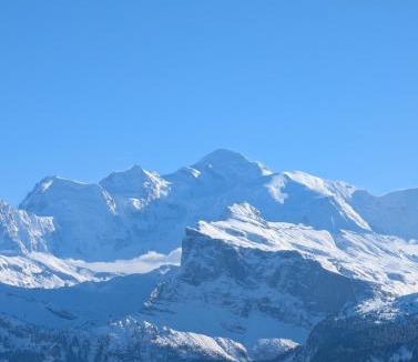 Station de Drouzin le Mont Apartment | Les Portes du Soleil Studio