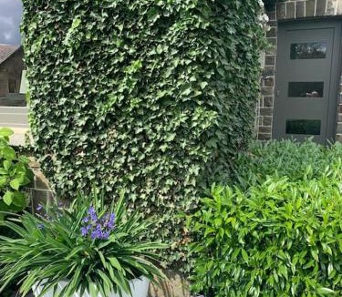 Walk Apartment | Les Rhododendrons