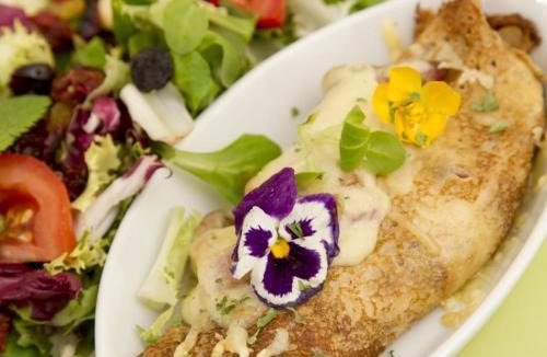 Montherlant Bed & Breakfast | Les Roses de Montherlant
