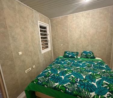 Faaa House | Les Tainas