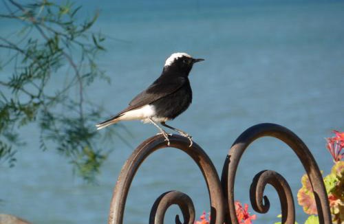 Afeggou Bed & Breakfast | Les Tourmalines