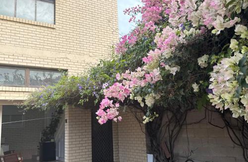 Rosewater House | Less pay for master room