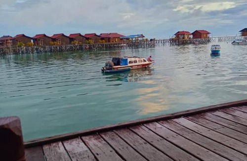 Pulau Derawan House | Lestari Cottage Derawan