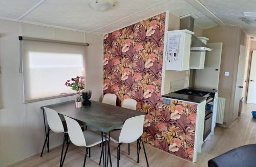 Bosgebied Hoenderloo Resort | Leuke 6 persoons stacaravan op top locatie!