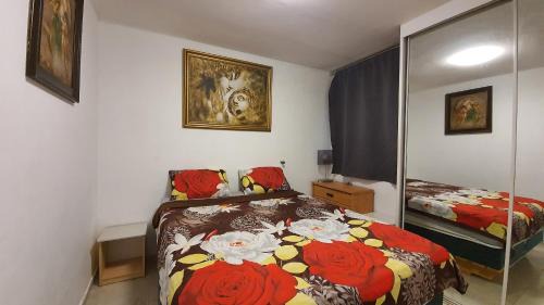 Eilat Apartment | Lev Eilat Deluxe