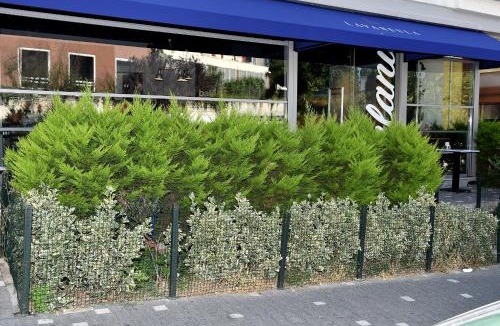 Celiktepe Mahallesi Hotel | Levent Lavandula Hotel
