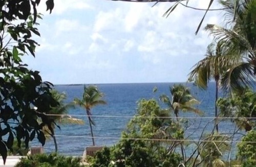 Estate Bolongo Apartment | LG 1 Bdrm Apt with access to Resort across the street