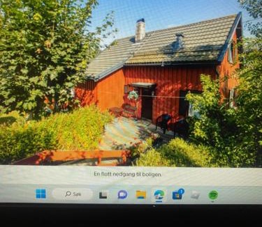 Rasta Villa | LIA