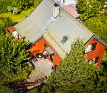 Rasta Villa | LIA