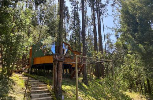 Duitama Other | Libélula Glamping con jacuzzi