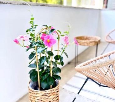 Udine Apartment | Libra Light