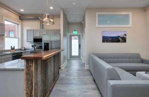 Roanoke Apartment | Light-filled adventure loft
