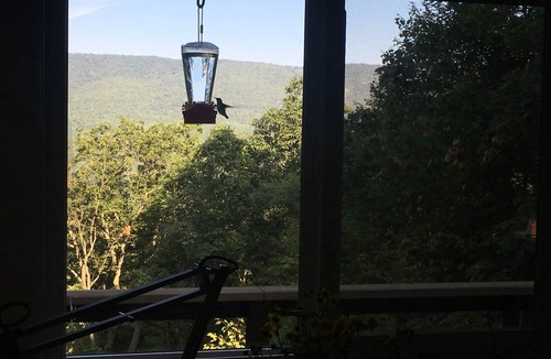 Bergton House | Light-Filled Mountain Retreat in Shenandoah with views of Great North Mountain