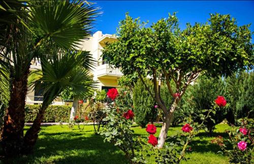 Vamvakopoulo Apartment | Lili Apartments,oasis 2,5 km from Hania center