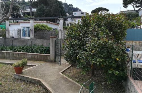 Marina Grande House | Lilli's House in Capri