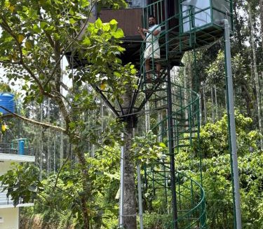 Meenangadi Bed & Breakfast | LilliputHaven Treehut