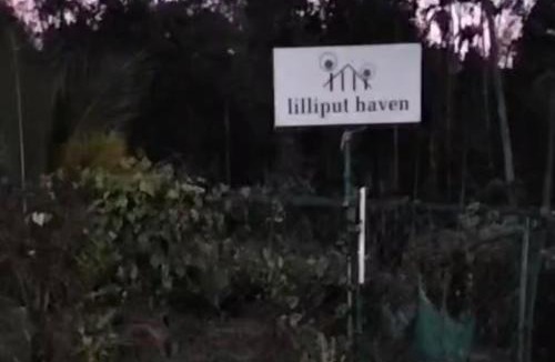 Meenangadi Bed & Breakfast | LilliputHaven Treehut