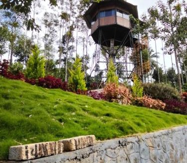 Meenangadi Bed & Breakfast | LilliputHaven Treehut