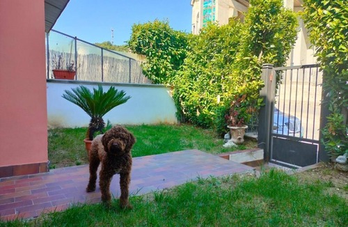 Isernia Apartment | Lillo Home