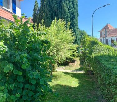 Weinheim Apartment | Lilo Luisa