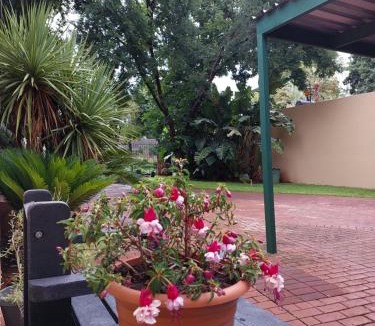 Wierdapark House | Lily's Inn