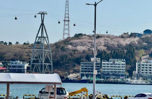 Yeosu Hostel | Lime Hostel