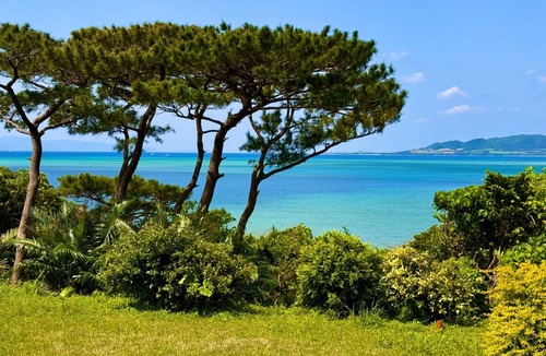 Nagura House | Limited to one group per day1500m2 of land for re/Ishigaki Okinawa