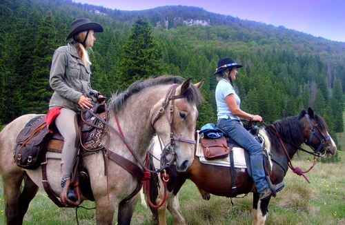 Velika Plana Apartment | Linden Tree Retreat & Ranch