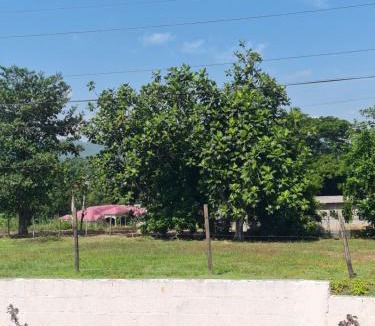 Linstead Apartment | Linstead AirB&B