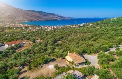 Plataria House | Liodentro - Olea