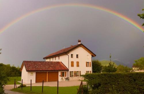 Feltre House | lioelara