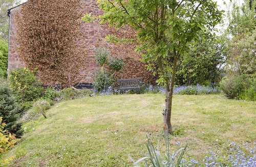 Dunster Cottage | Little Dragons