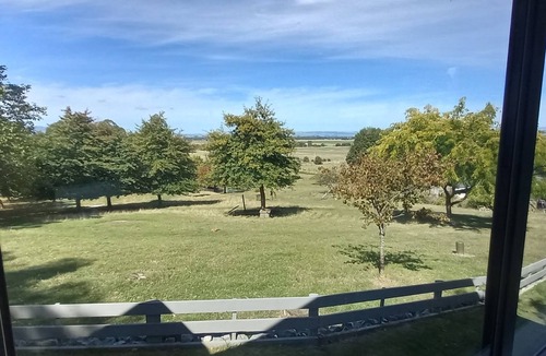 Feilding Cabin | Little Forest Cabins with an awesome outlook. No 2