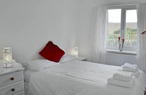 Beadnell House | Little Tern