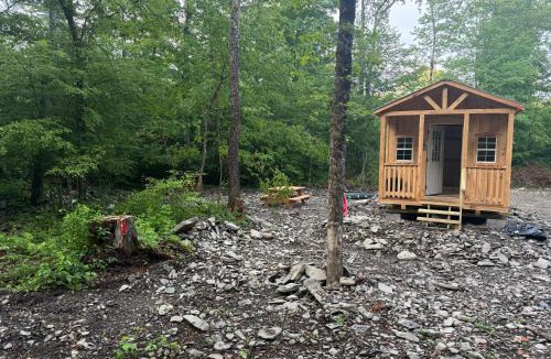 Willet Other | Live The Outdoors Camp