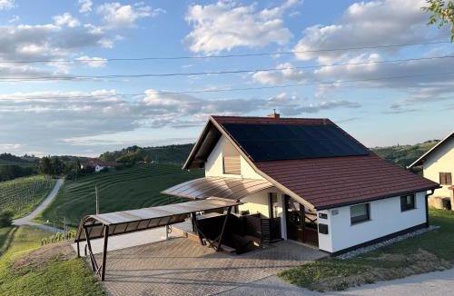 Hermanci House | Liveza House