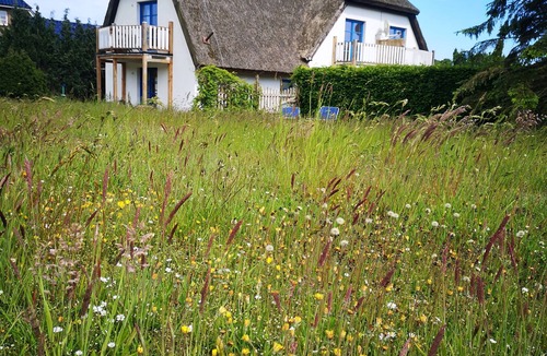 Lancken-Granitz Apartment | Living under "thatch" Family-friendly, dogs allowed, garden+large open space