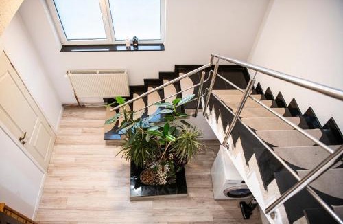 Sanandrei Villa | LL Villa Sanandrei