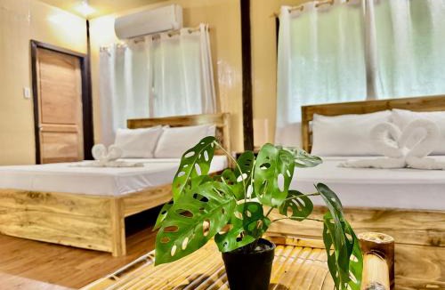 Loboc Resort | Loboc Cool River Resort