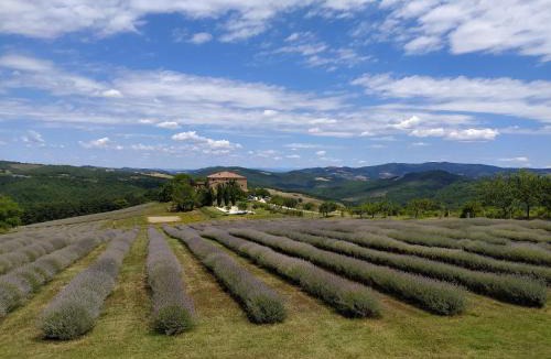 Radicondoli Villa | Locanda Cugnanello